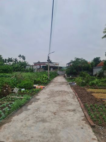 Giá 1,x tỷ  lô nhà vườn tuyến 2 hòa nghĩa  gần khu vin  có 7157965