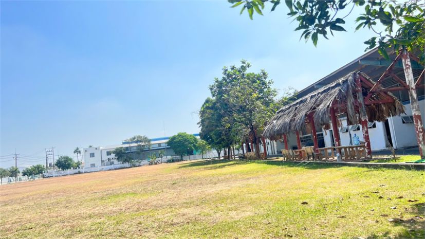 D379 chuyển nhượng quỹ đất rộng thu hút đầu tư linh hoạt 7158813