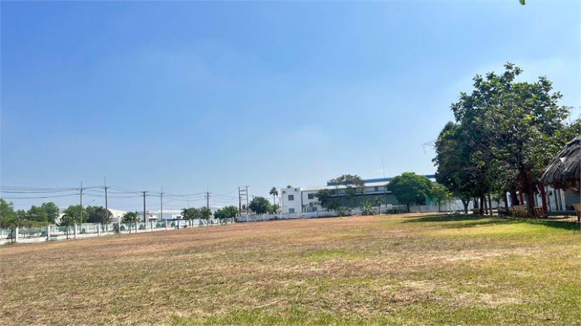 D379 chuyển nhượng quỹ đất rộng thu hút đầu tư linh hoạt 7158815