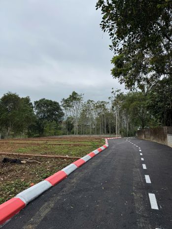 5xx săn sô tai phương ky sơn, thanh phô hoa binh 7161045