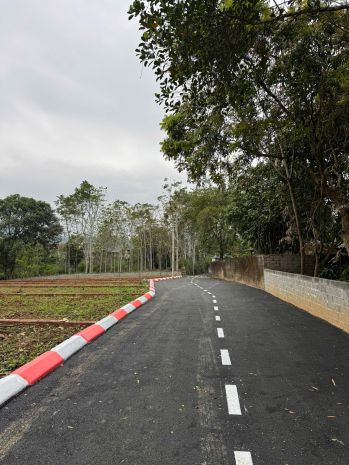 5xx săn sô tai phương ky sơn, thanh phô hoa binh 7161046