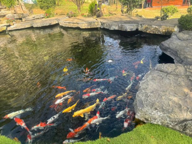 Chuyển nhượng khu nghỉ dưỡng tâm an 999  trung tâm mộc châu 7162108