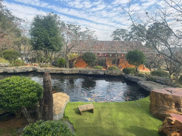 Chuyển nhượng khu nghỉ dưỡng tâm an 999  trung tâm mộc châu 7162109