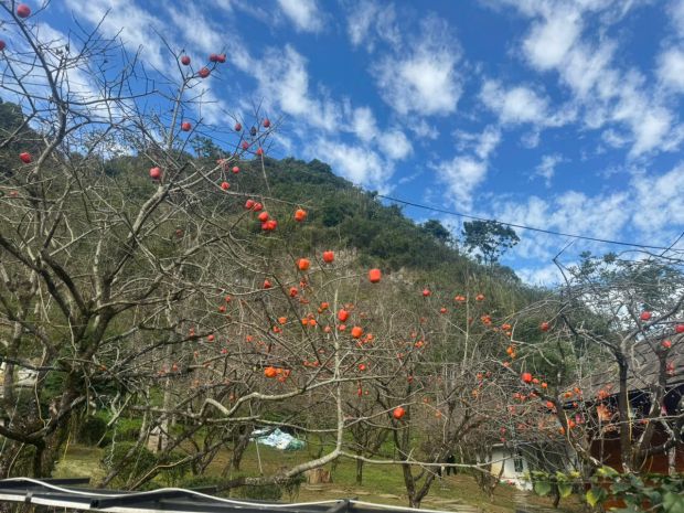 Chuyển nhượng khu nghỉ dưỡng tâm an 999  trung tâm mộc châu 7162110