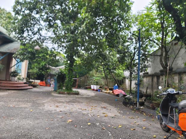 Biệt thự 800m² trần văn mười  giá ngộp chỉ 10,5 tỷ  giảm 7162996