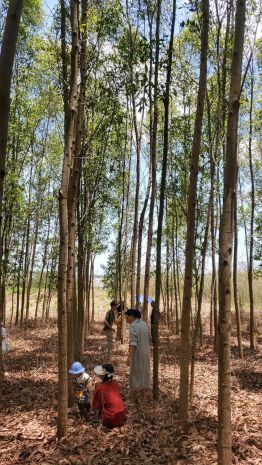 Đất đẹp - đầu tư sinh lời - chính chủ bán đất vườn tại phú 7163901