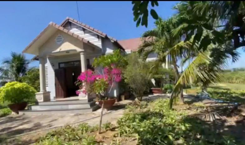 Chính chủ bán đất tặng nhà vườn thanh long hàm trí , hàm 7164026