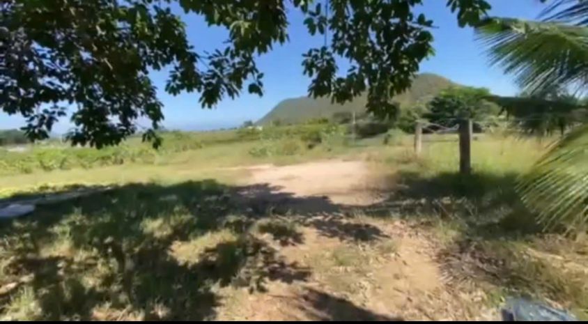 Chính chủ bán đất tặng nhà vườn thanh long hàm trí , hàm 7164027