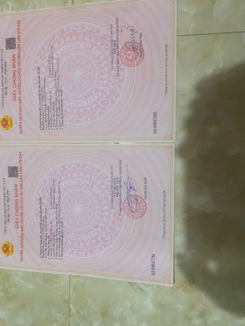 Bán 2 lô đất 100m2lô  5x20 thuộc đường đoàn kết  bình 7166115