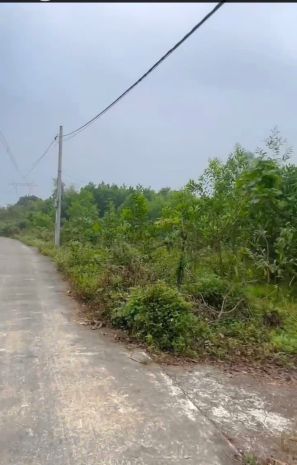 Ninh bình- bán đất chính chủ  nở hậu  giá tốt 7166792