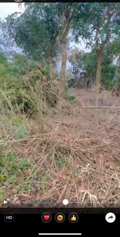 Ninh bình- bán đất chính chủ  nở hậu  giá tốt 7166793