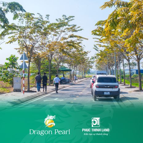 Dragon pearl  hạ tầng hoàn thiện khu tây tp.hcm 7167038