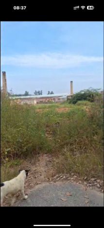 Bán 1ha đất 2 mặt tiền tại xã an viễn . trảng bom . 7169427