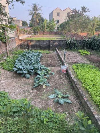 Bán đất phú sơn  gia lâm  44,8m²  giá chỉ 2,5 tỷ - lh 7170427