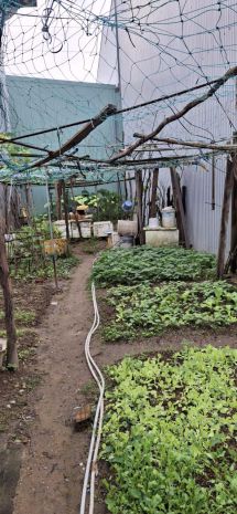 Mặt tiền hoàng hiệp  tt hòa xuân  đất vuông đẹp 100m² 7171820