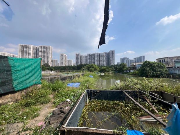 Bán gấp đất vàng 4140m2  nguyễn xiển  long thạnh mỹ - q9 7172258