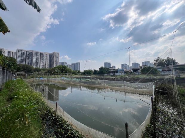 Bán gấp đất vàng 4140m2  nguyễn xiển  long thạnh mỹ - q9 7172260