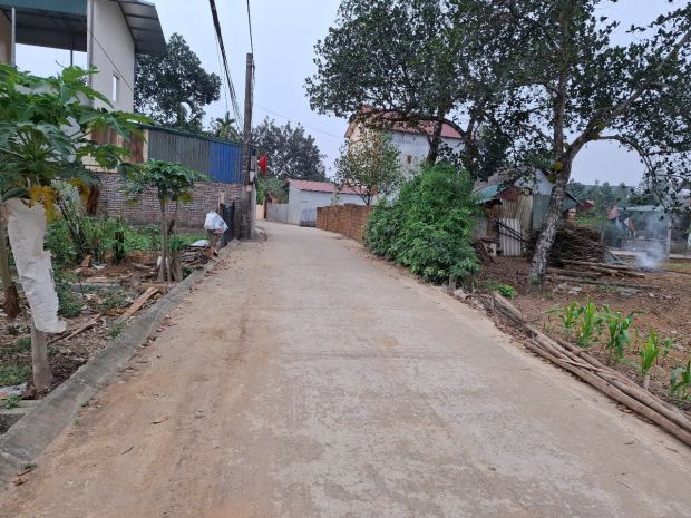 Đất đẹp giá đầu tư trục chính thôn đồi sen xã bình yên, 7172507