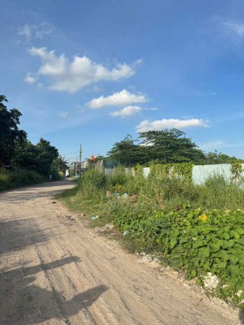 Siêu quỹ đất mặt tiền rạch vườn lài  an phú đông q12  gần 7172972