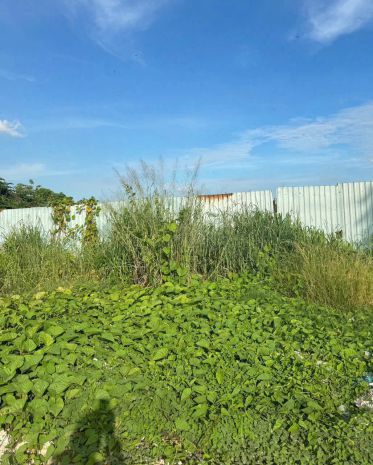 Siêu quỹ đất mặt tiền rạch vườn lài  an phú đông q12  gần 7172980