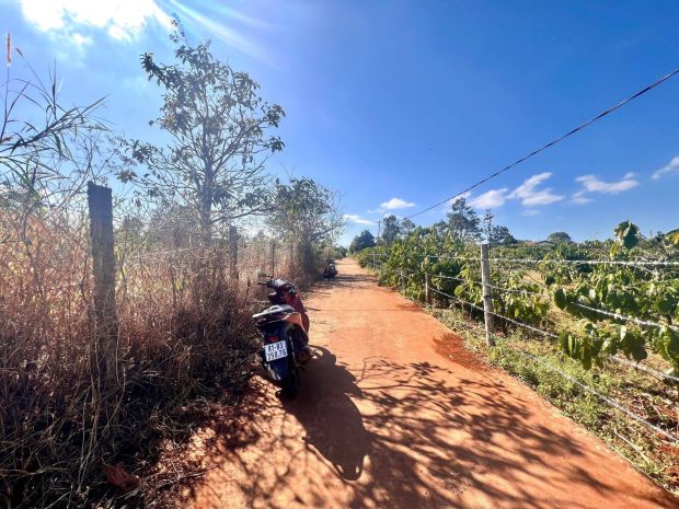 Đất thổ cư hẻm 294 tôn đức thắng ngay gần khu du lịch biển h 7175488