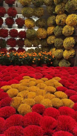 Chính chủ cần sang nhượng quán  mô hình không gian học tập 7176040