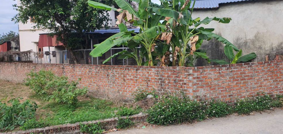 Hoa khôi sơn đông-tân minh_sóc sơn ô tô tránh giá cực đẹp 7178669