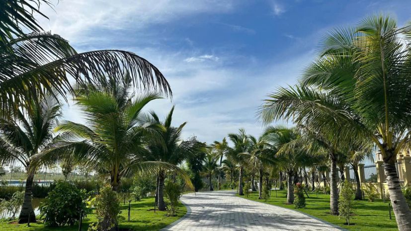 Cơ hội đầu tư agora city thủ thừa  đón sóng hạ tầng long 7182126