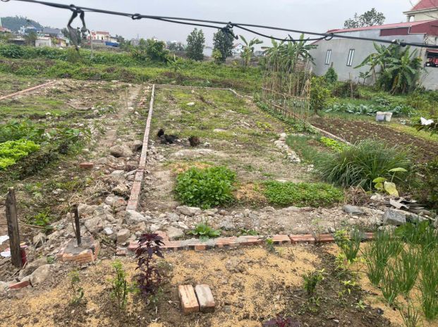 Kim đới 2 hữu bằng kiến thụy  giá 1 tỷ 7xx  lô đất đẹp 7182834