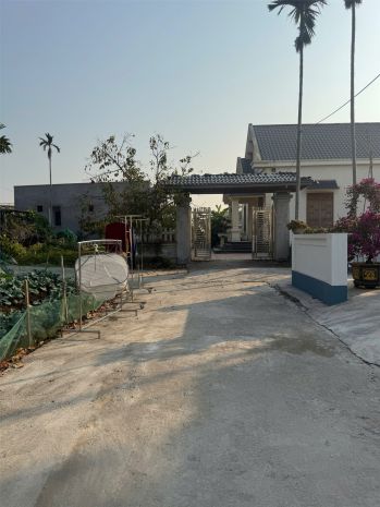 Đất minh tân kiến thụy  giá chỉ hơn 9xxtr  hàng f0 trung 7183106