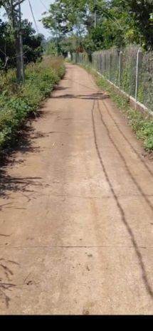 Chính chủ cần bán nhanh vườn sầu riêng 12,201.2m2 bảo bình, 7183391