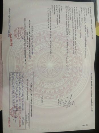 Cơ hội sở hữu 4 lô đất sát hồ đảo yến  trung tâm hành 7184768