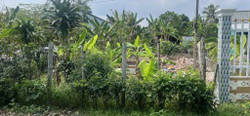 Chủ gửi bán gấp  đất rộng gần 1.500m²  măng thít, vĩnh 7184782