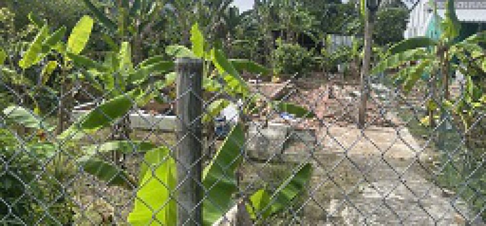 Chủ gửi bán gấp  đất rộng gần 1.500m²  măng thít, vĩnh 7184783