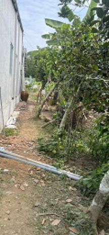 Chủ gửi bán gấp  đất rộng gần 1.500m²  măng thít, vĩnh 7184784