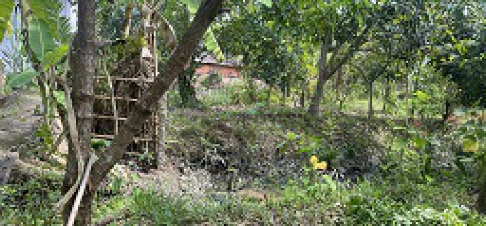 Chủ gửi bán gấp  đất rộng gần 1.500m²  măng thít, vĩnh 7184785