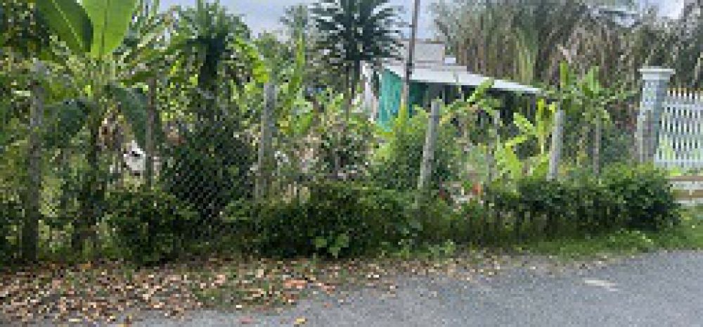 Chủ gửi bán gấp  đất rộng gần 1.500m²  măng thít, vĩnh 7184786