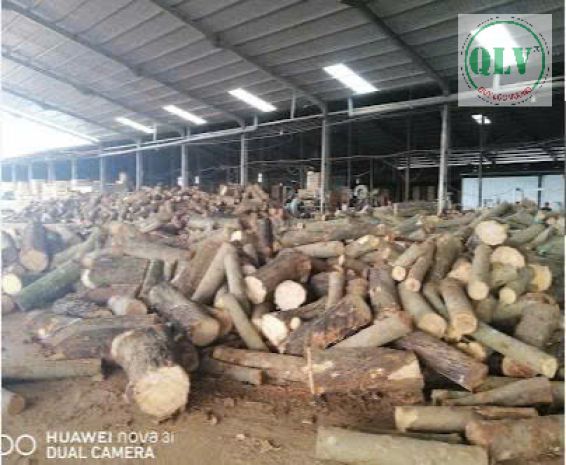 Cho thuê nhà xưởng tân phú,  đồng phú, bp  14.000m² 7184821