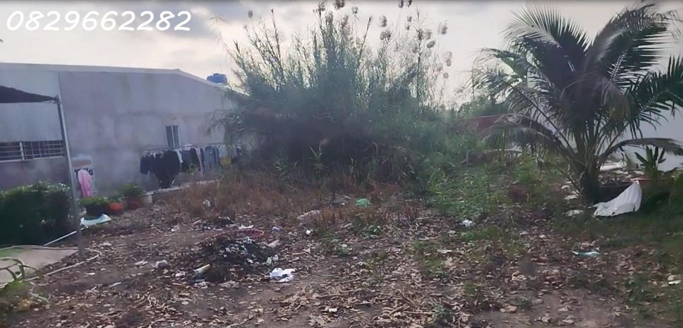 Đất thổ cư 216m2 kdc tân quy tây, sa đéc. sổ hồng, hướng 7184841