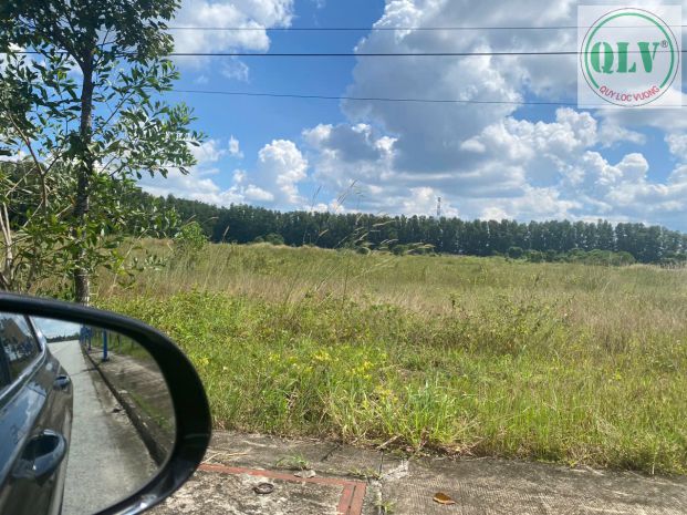 Bán đất khu công nghiệp  kcn bàu bàng, bd  52.071m² 7185185