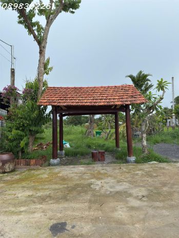 Bán đất đường trương văn diễn, ô môn, cần thơ  mặt tiền 7185487