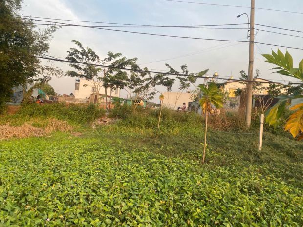 Đất đẹp  giá tốt   chính chủ cần bán tại mặt tiền liên ấp 7185558