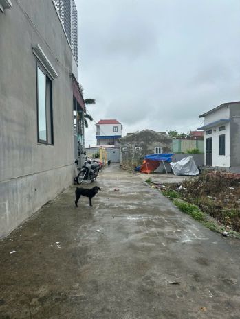 Đất minh tân  kiến minh 85m²  giá hiếm dưới 1 tỷ, khu dân 7185713