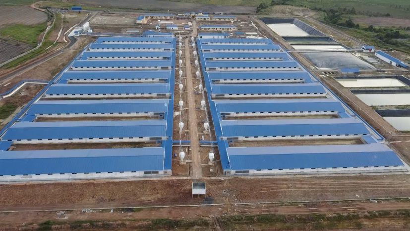 Bán trang trại heo 26 ha -chư prông, gia lai. quy mô 18.000 7186380