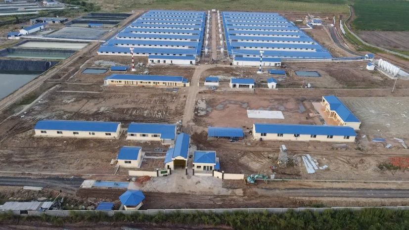 Bán trang trại heo 26 ha -chư prông, gia lai. quy mô 18.000 7186383