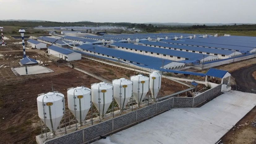 Bán trang trại heo 26 ha -chư prông, gia lai. quy mô 18.000 7186384