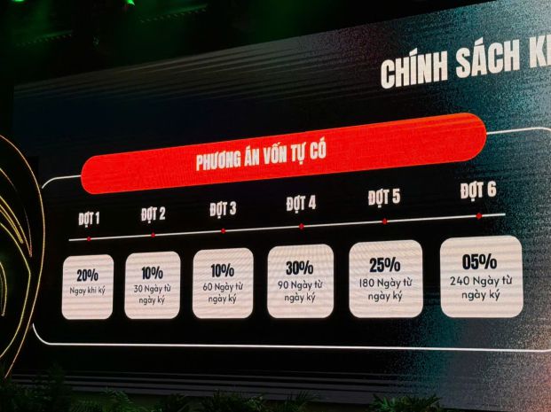 Chính sách ưu đãi đặc biệt  mở bán giai đoạn đầu 7188072