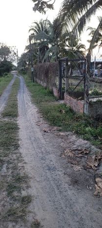 Bom tấn chỉ 1,8trm2 sổ hồng riêng nhà vườn củ chi 3600m2 - 7188894