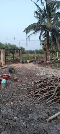 Bom tấn chỉ 1,8trm2 sổ hồng riêng nhà vườn củ chi 3600m2 - 7188895