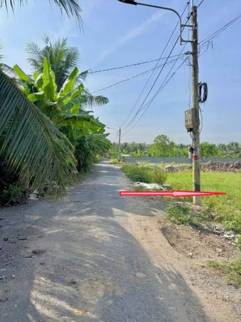 Bán lô đất  mặt tiền đường n6b. rộng 425m². tân mỹ chánh. 7189180